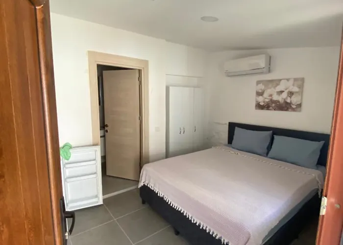 Goenuel Evim * Bogazici